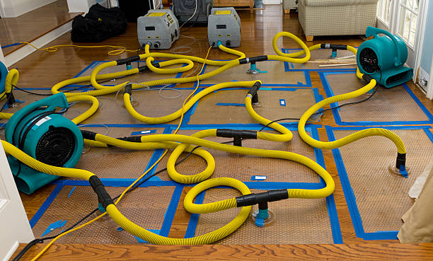 Professional Sewage Cleanup technician working in Rock Hill, MO